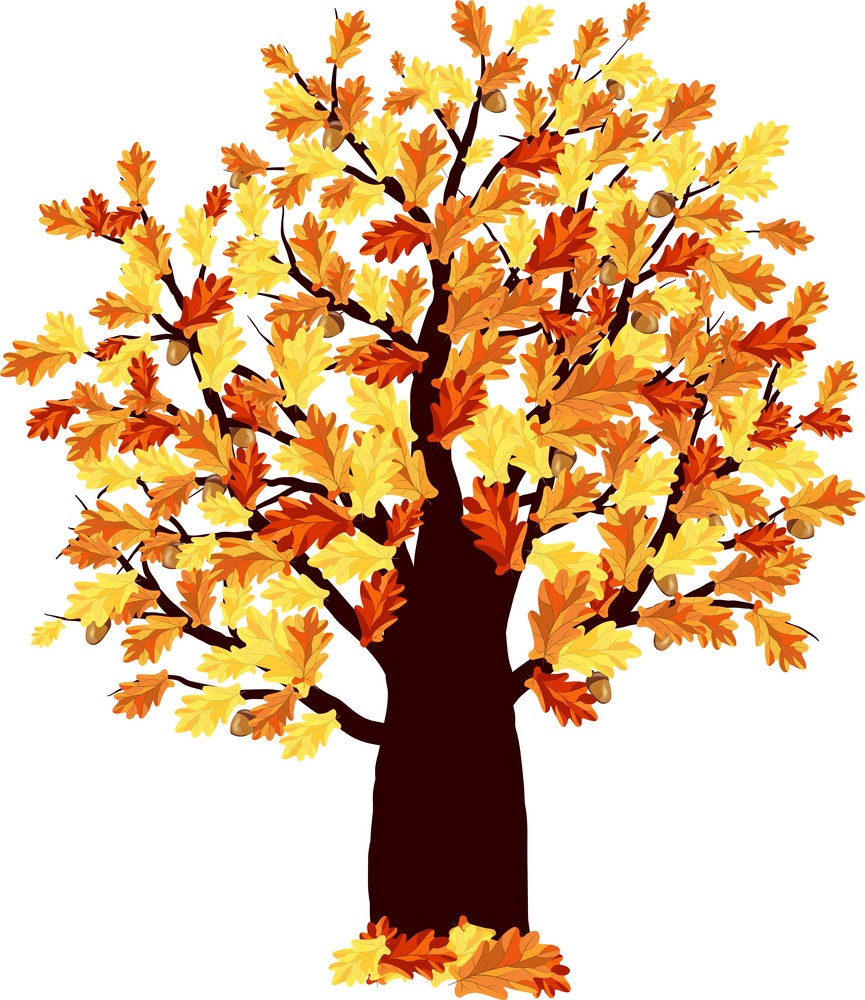 Detail Oak Tree Clipart Nomer 29