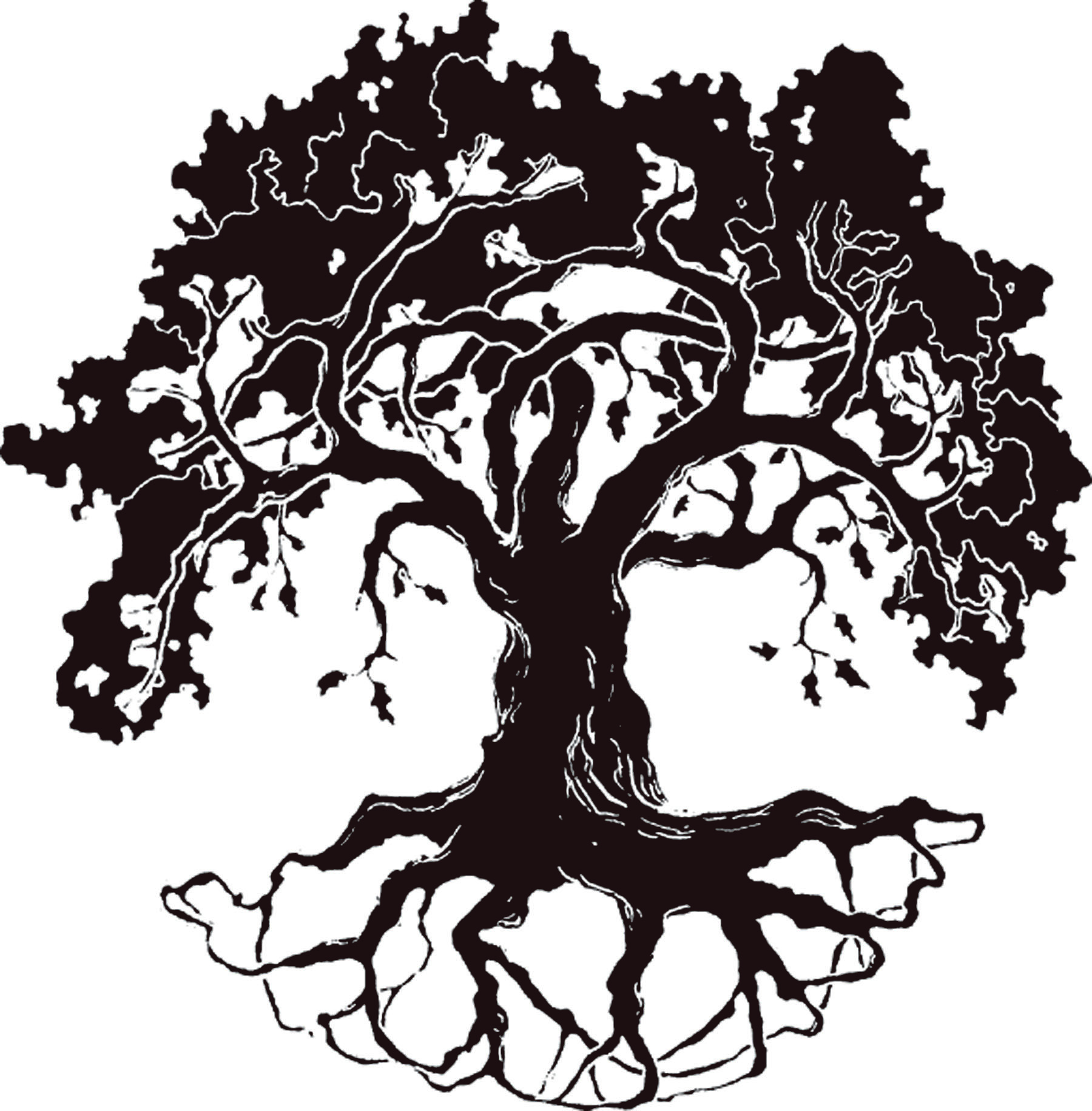 Detail Oak Tree Clipart Nomer 31