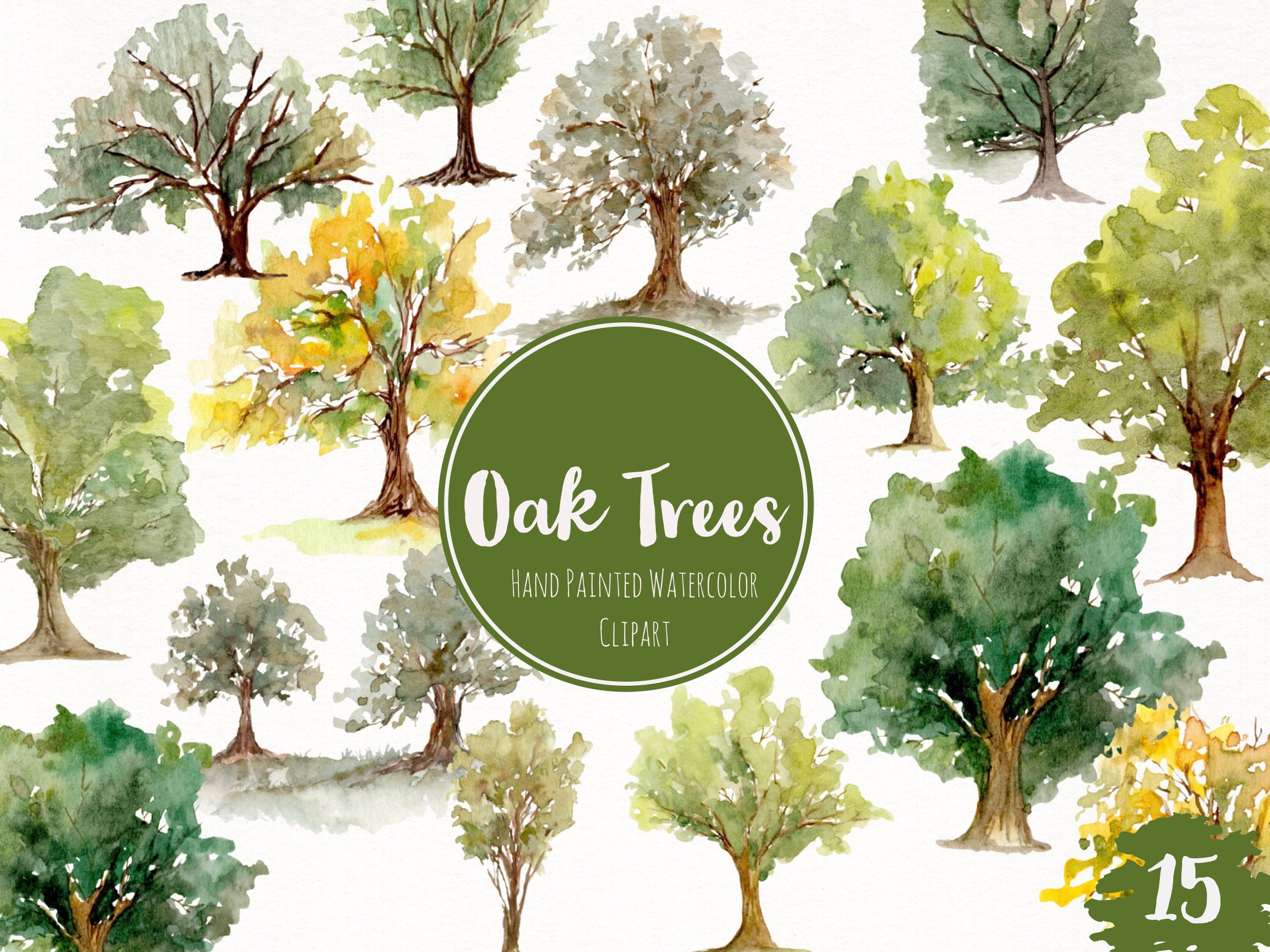 Detail Oak Tree Clipart Nomer 39