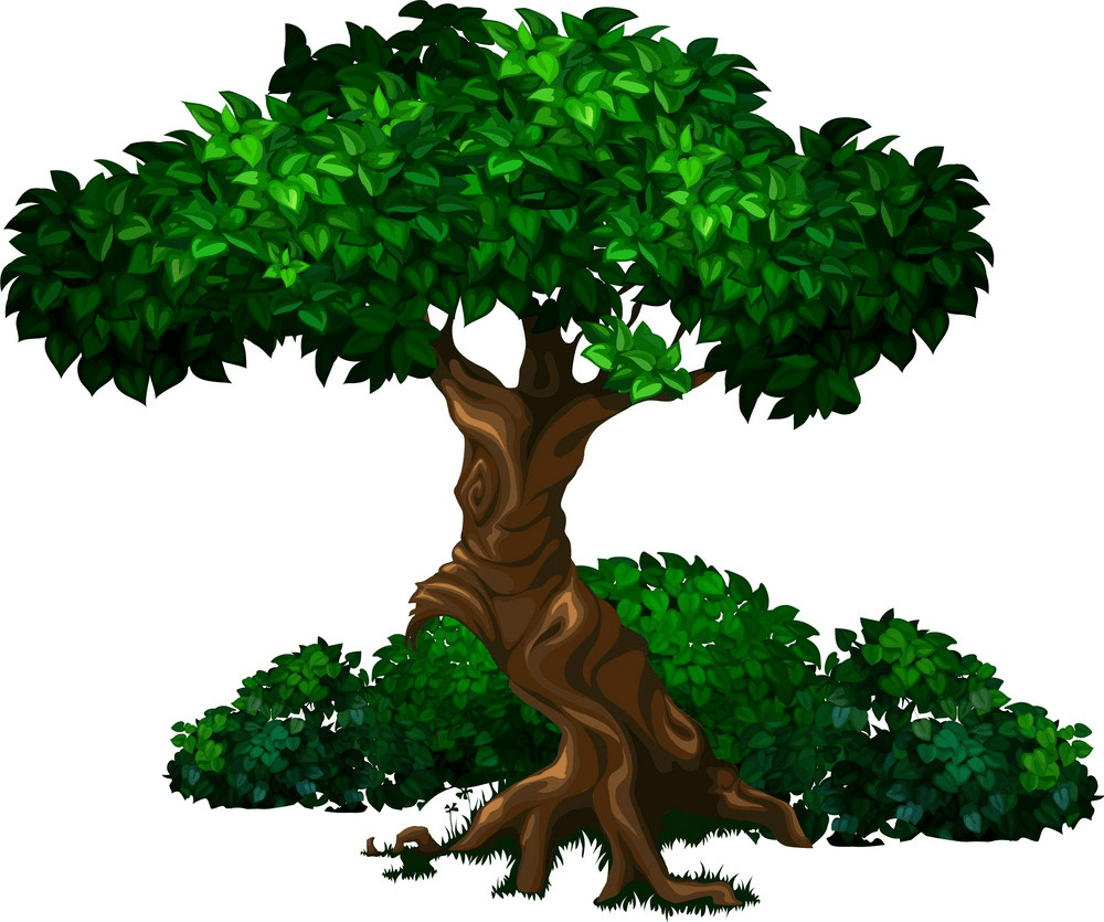 Detail Oak Tree Clipart Nomer 48