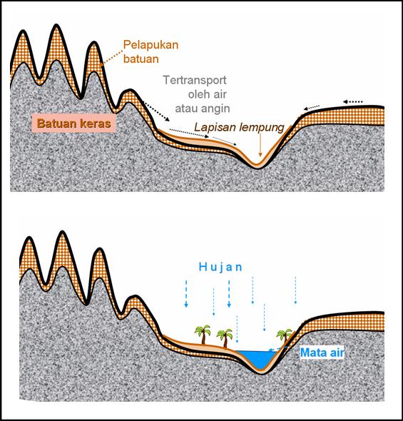 Detail Oasis Padang Pasir Nomer 17