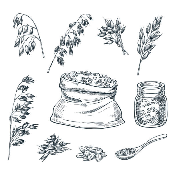 Detail Oatmeal Clipart Black And White Nomer 8