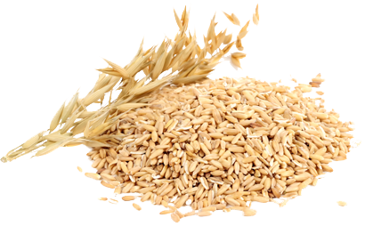 Detail Oats Png Nomer 19