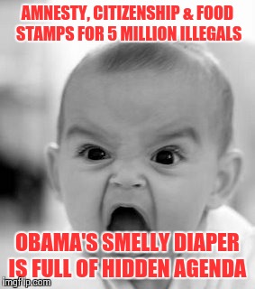 Detail Obama Food Stamp Meme Nomer 33