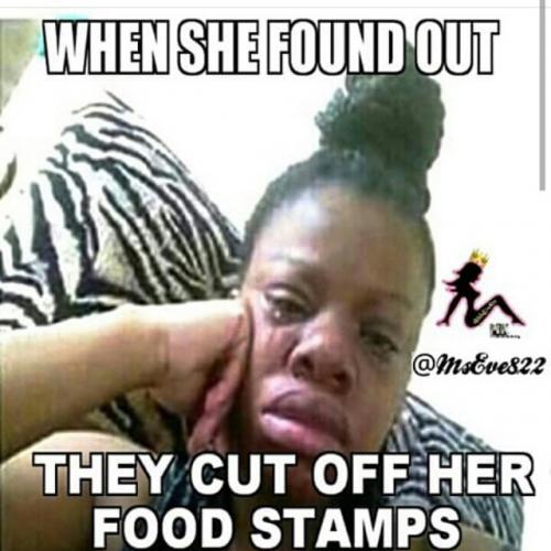 Detail Obama Food Stamp Meme Nomer 36