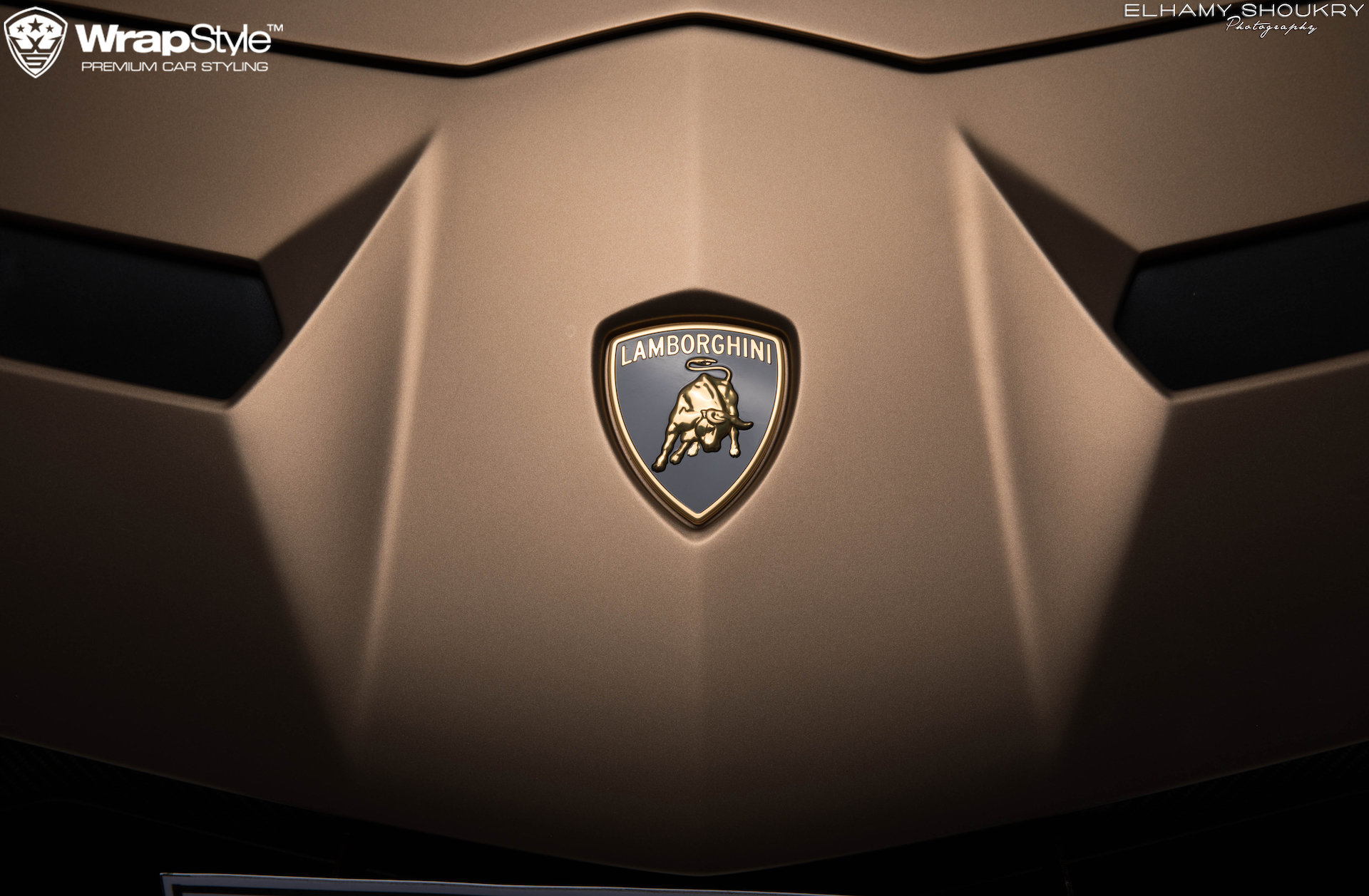 Detail Logo Lamborghini Aventador Nomer 15