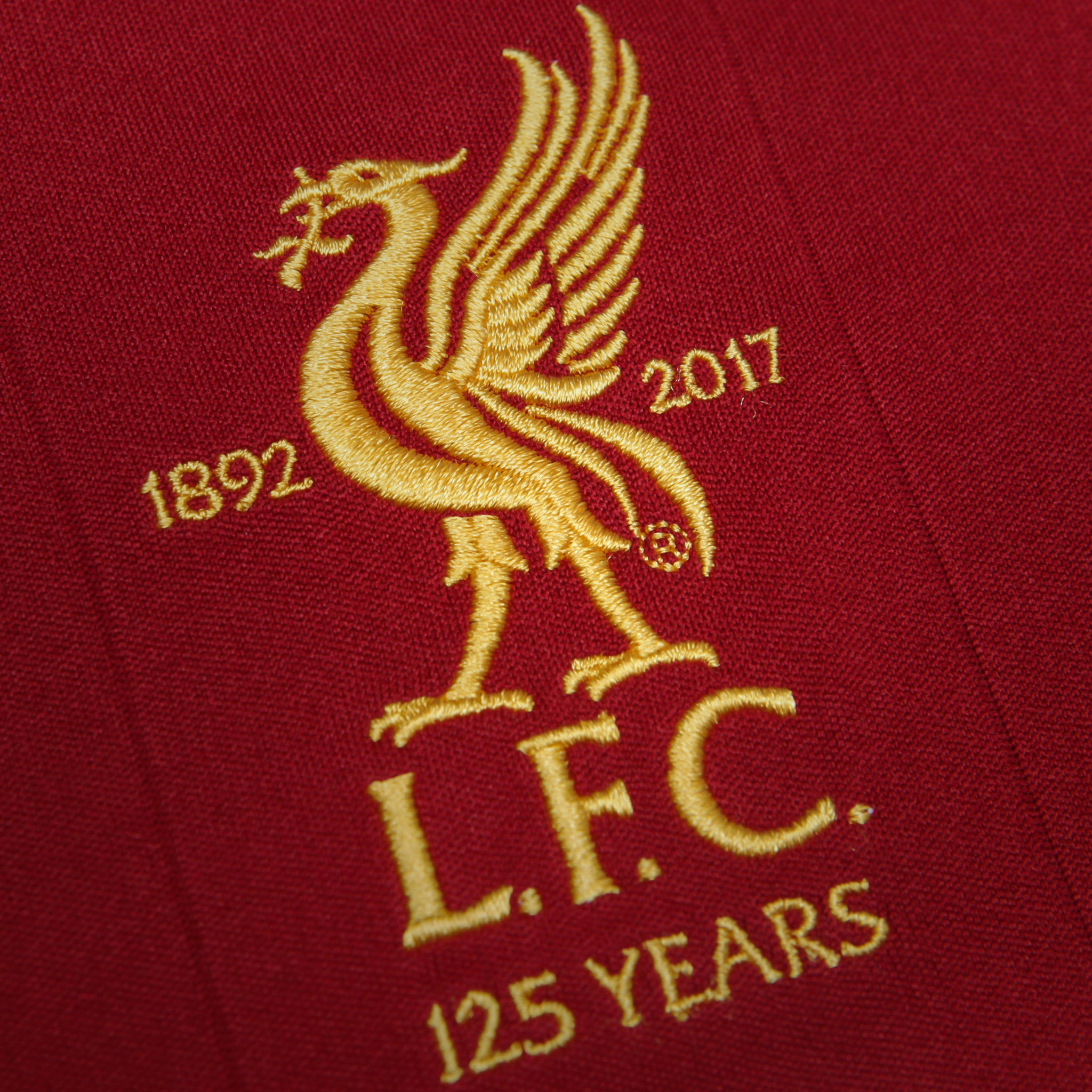 Detail Logo Lfc Nomer 15