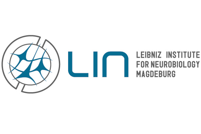 Detail Logo Lin Nomer 22