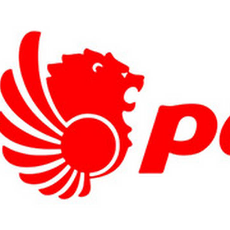 Detail Logo Lion Parcel Png Nomer 13
