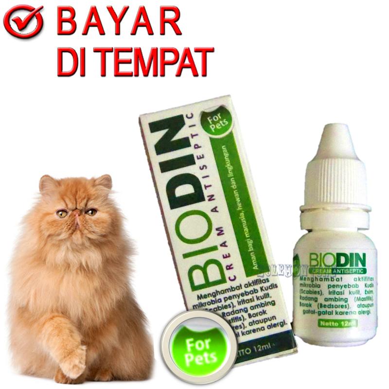 Detail Obat Jamur Kucing Persia Nomer 10