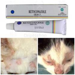 Detail Obat Jamur Kucing Persia Nomer 11