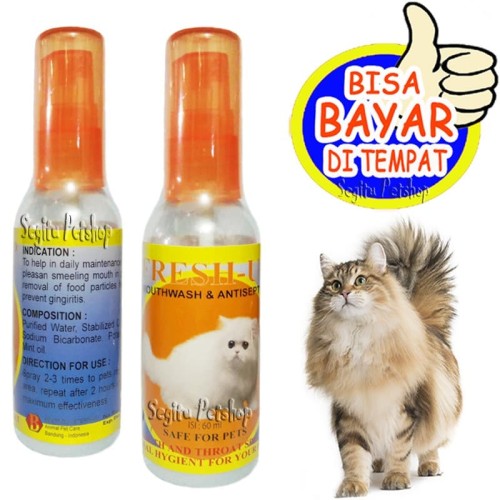 Detail Obat Jamur Kucing Persia Nomer 26