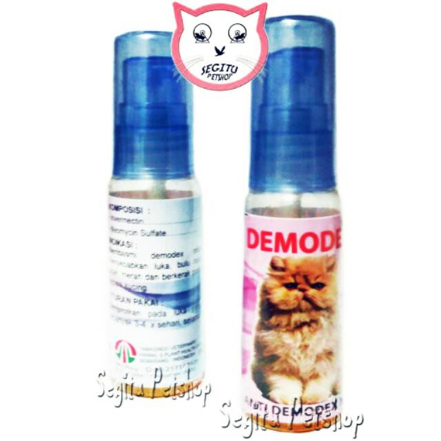 Detail Obat Jamur Kucing Persia Nomer 27