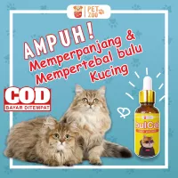 Detail Obat Jamur Kucing Persia Nomer 28