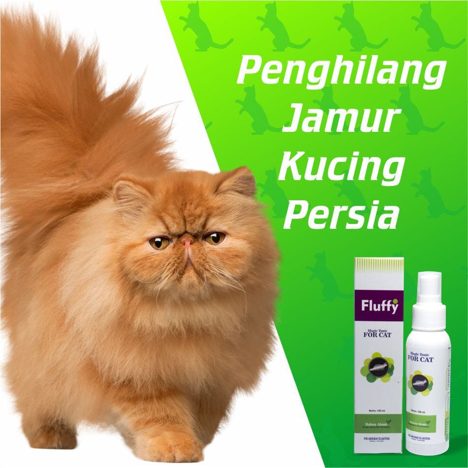 Detail Obat Jamur Kucing Persia Nomer 31