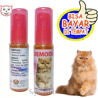 Detail Obat Jamur Kucing Persia Nomer 46