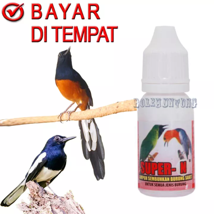 Detail Obat Kacer Sakit Nomer 15