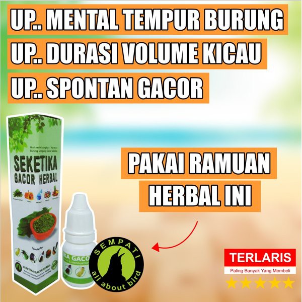 Detail Obat Kacer Sakit Nomer 30