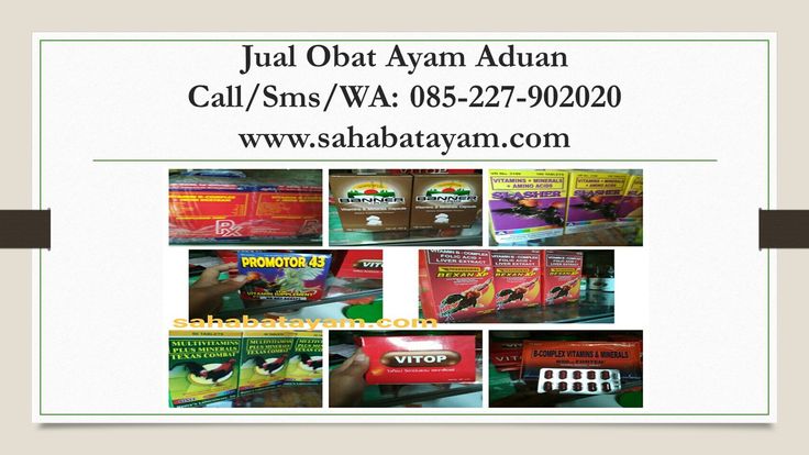 Detail Obat Ngantuk Tradisional Nomer 26