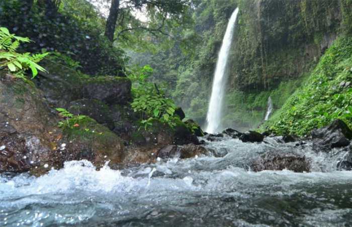 Detail Objek Wisata Banyuwangi Nomer 40