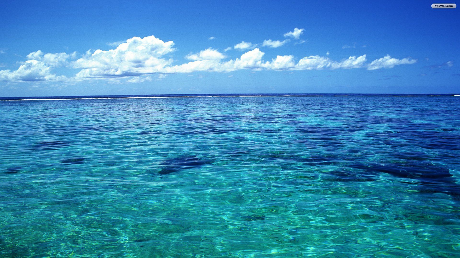 Detail Ocean Background Nomer 5