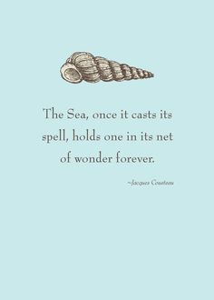 Detail Ocean Quotes For Kids Nomer 11