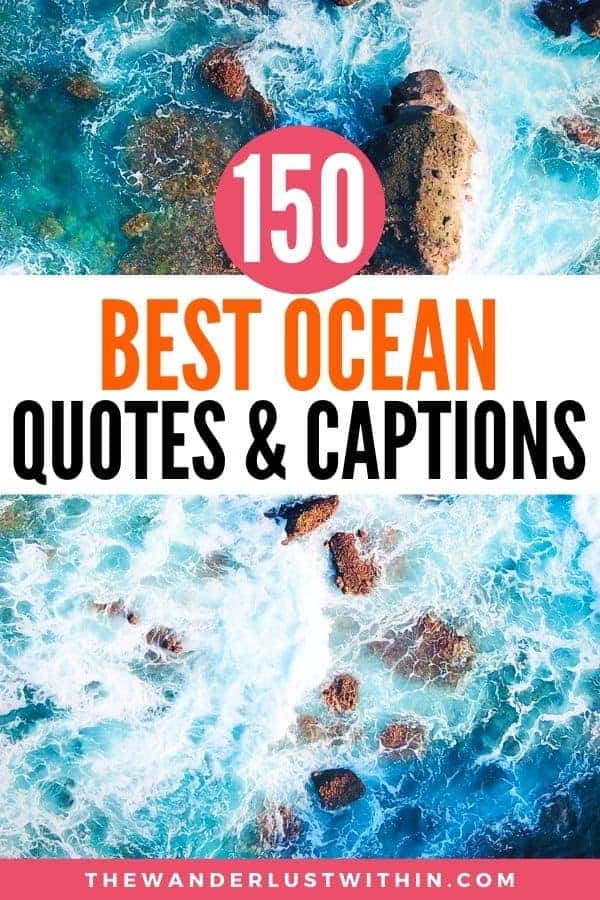 Detail Ocean Quotes For Kids Nomer 45