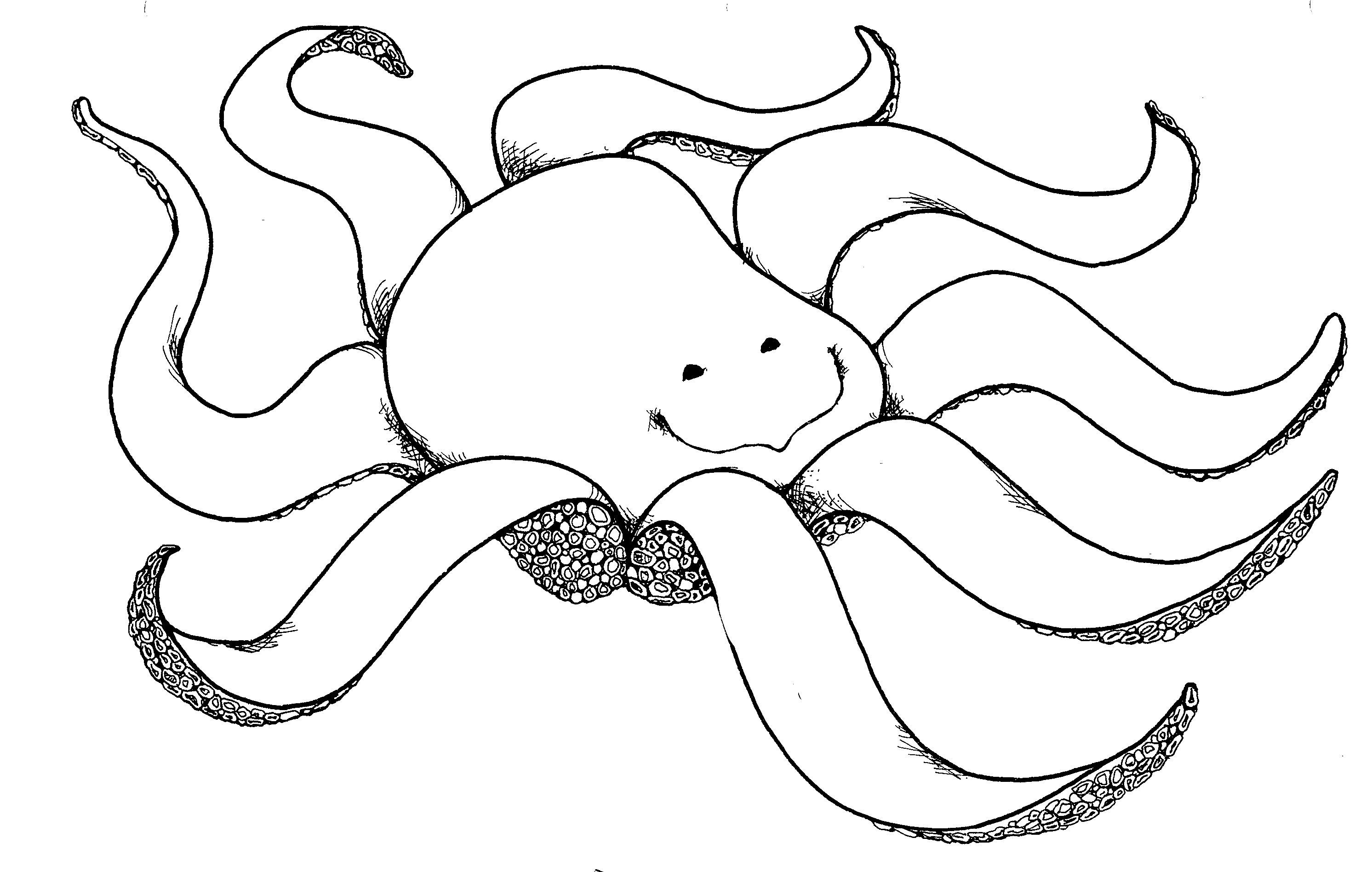 Detail Octopus Black And White Clipart Nomer 14