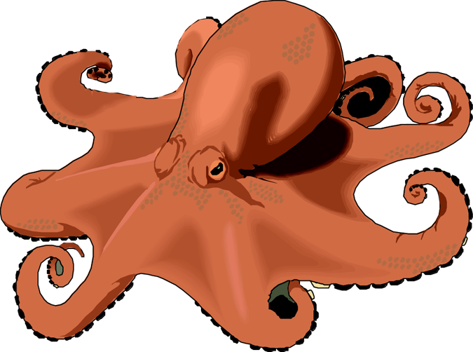 Detail Octopus Clip Art Nomer 29