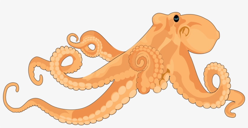 Detail Octopus Clip Art Nomer 40