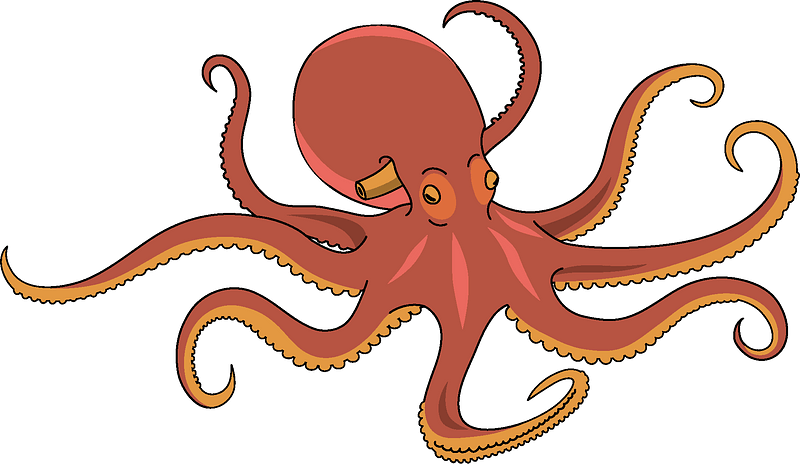 Detail Octopus Clipart Nomer 34