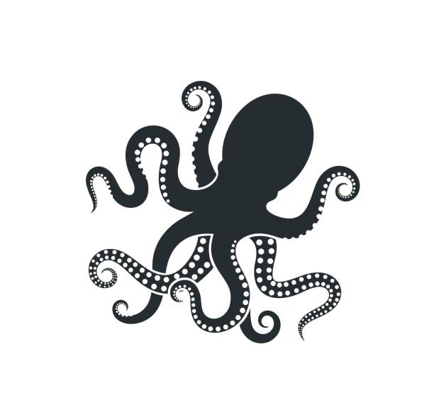 Detail Octopus Clipart Nomer 50