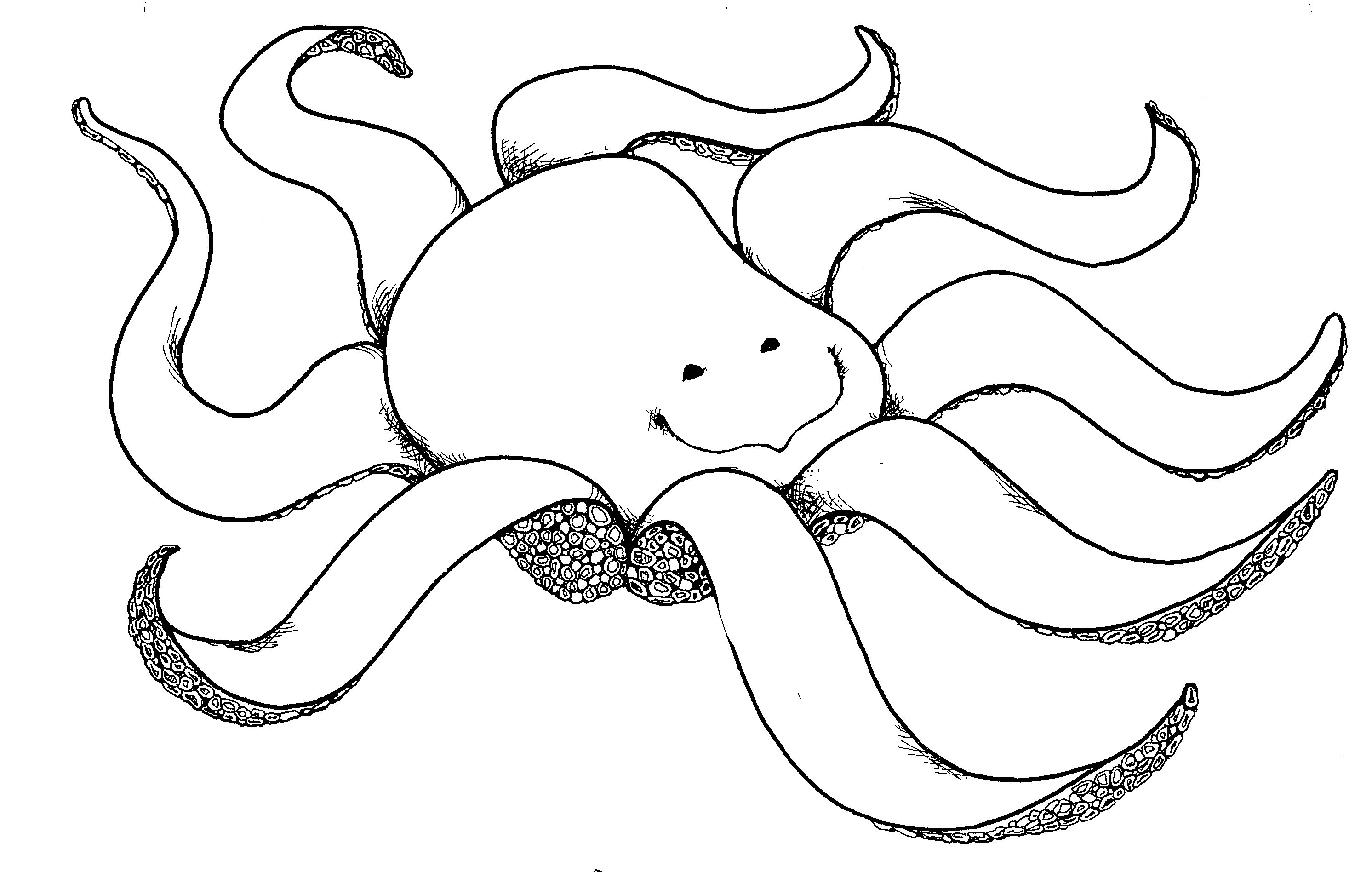 Detail Octopus Clipart Black And White Nomer 15