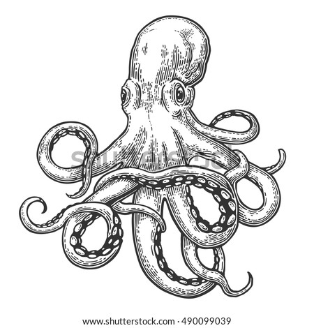 Detail Octopus Clipart Black And White Nomer 38