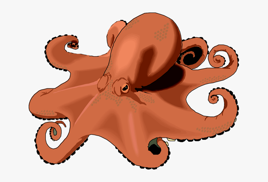 Detail Octopus Clipart Transparent Nomer 43