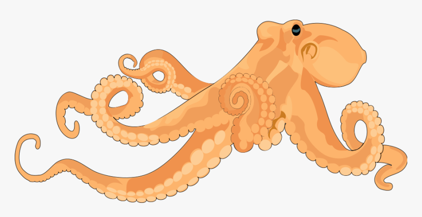 Detail Octopus Clipart Transparent Nomer 53