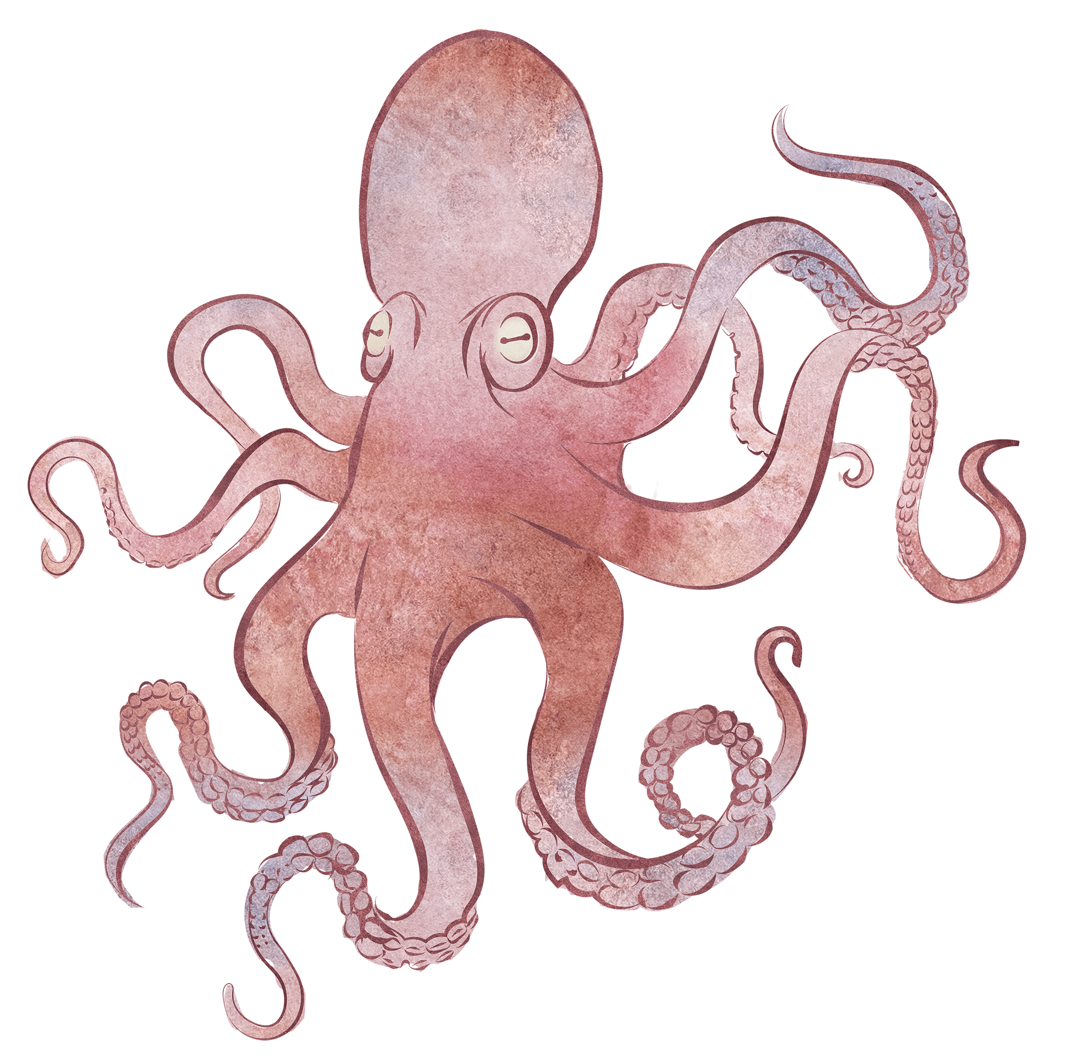 Detail Octopus Download Nomer 14