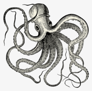 Detail Octopus Download Nomer 16