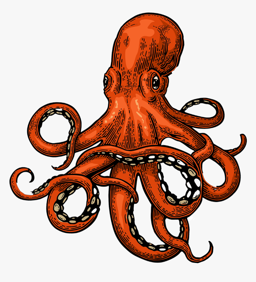 Detail Octopus Download Nomer 24