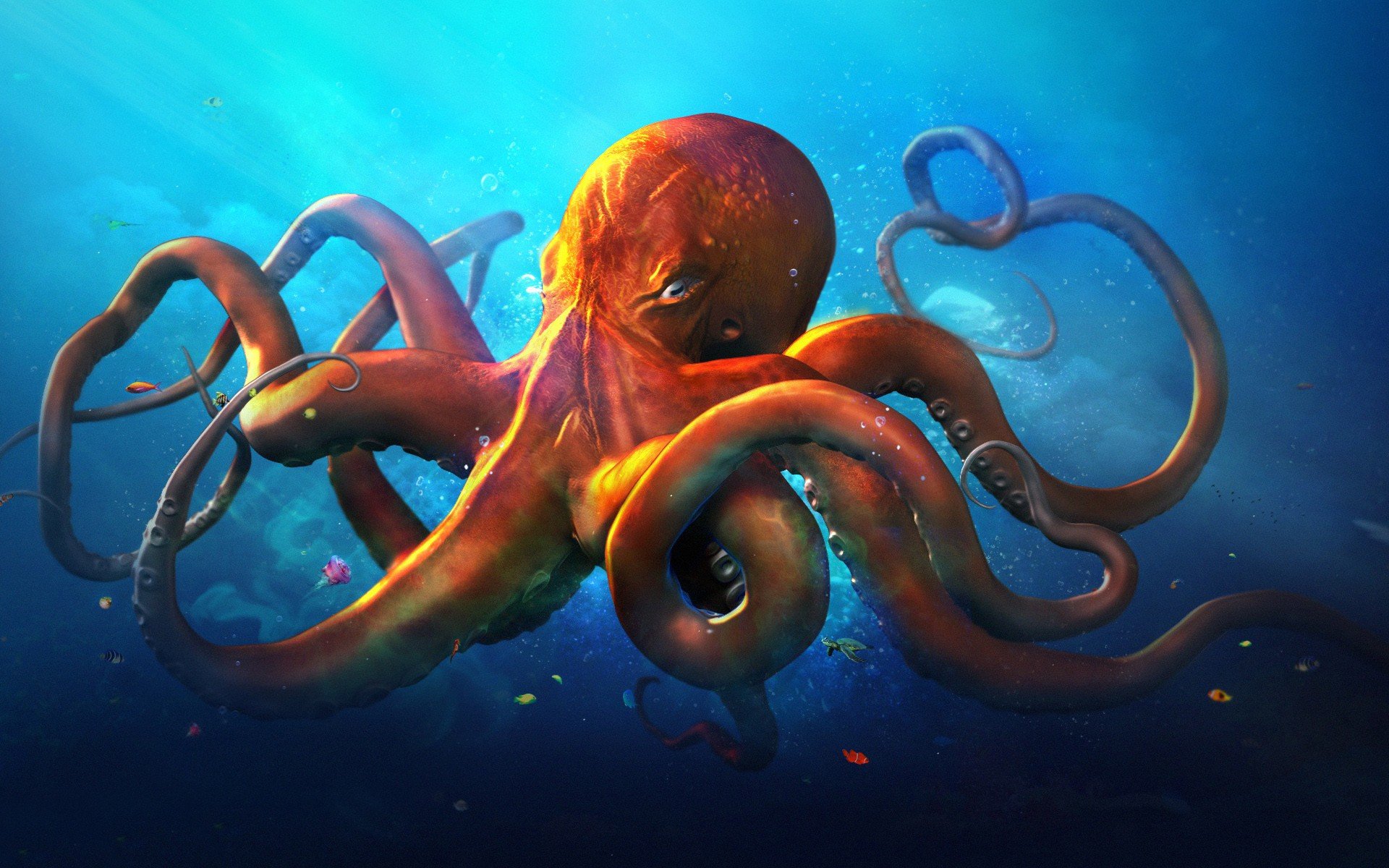 Detail Octopus Download Nomer 30