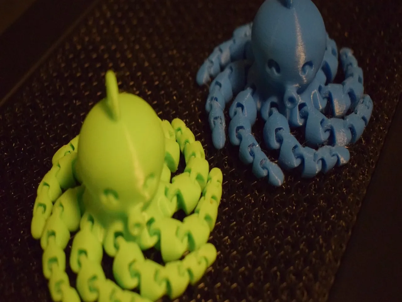 Detail Octopus Download Nomer 39