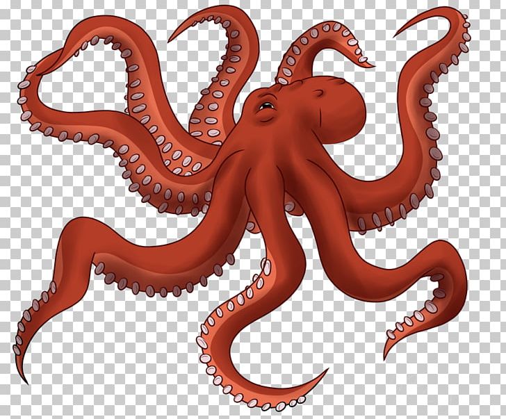 Detail Octopus Download Nomer 10