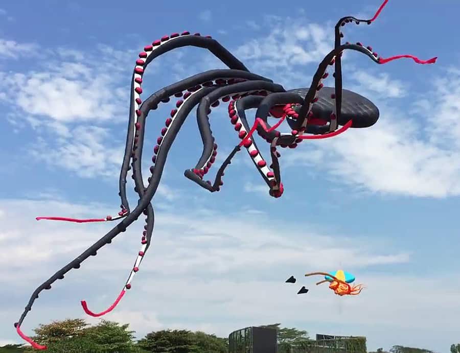 Detail Octopus Kite Amazon Nomer 12