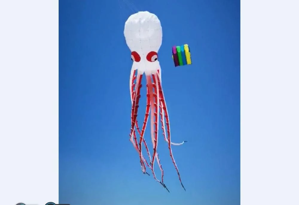 Detail Octopus Kite Amazon Nomer 26