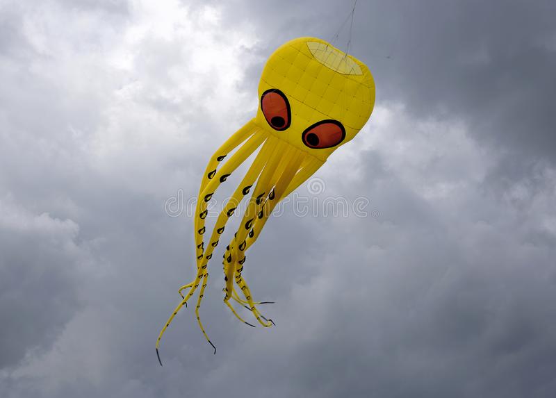 Detail Octopus Kite Flying Nomer 22