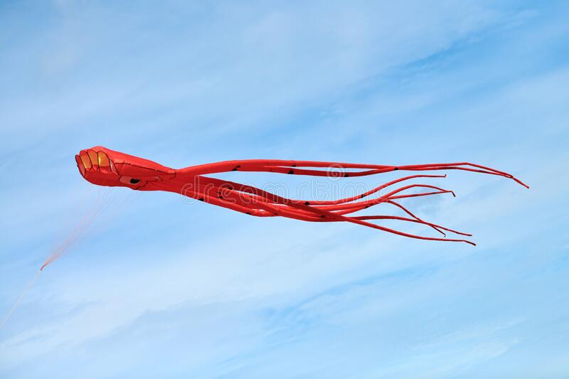 Detail Octopus Kite Flying Nomer 37