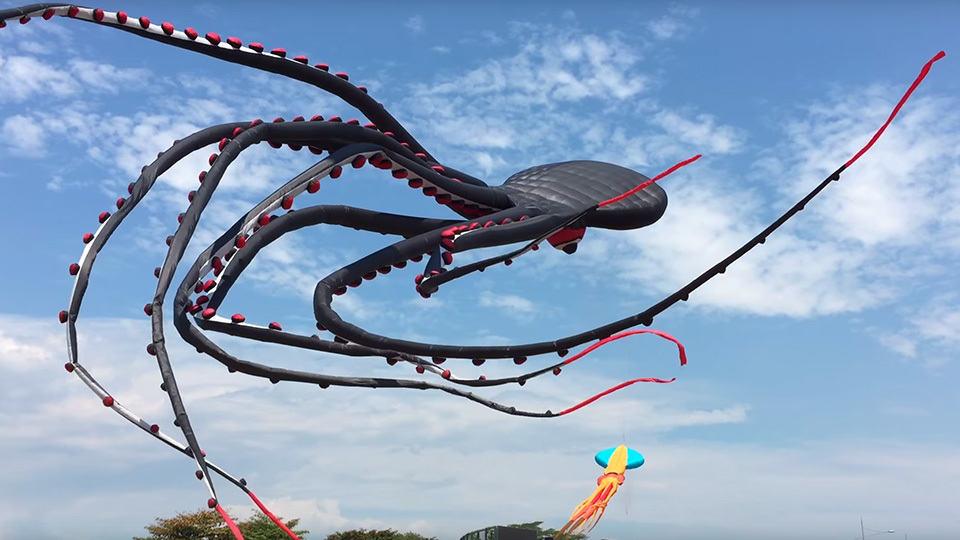 Detail Octopus Kite Flying Nomer 41