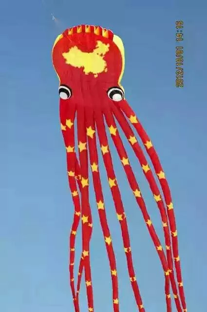 Detail Octopus Kite Flying Nomer 52