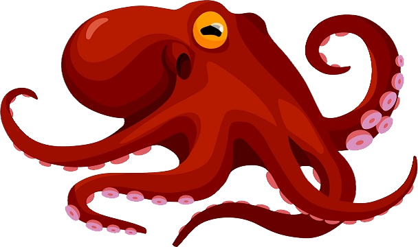 Detail Octopus No Background Nomer 18