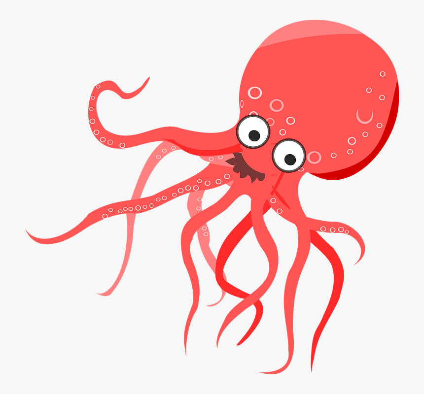 Detail Octopus No Background Nomer 27